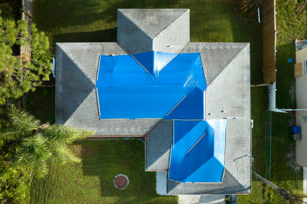 Best 4 Ply Roofing  in Flora, MS