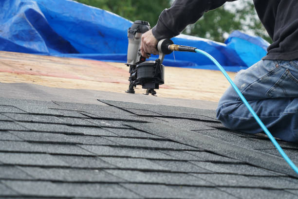 Best Chimney Flashing Repair  in Flora, MS