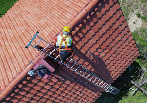 Best Roof Insulation Installation  in Flora, MS