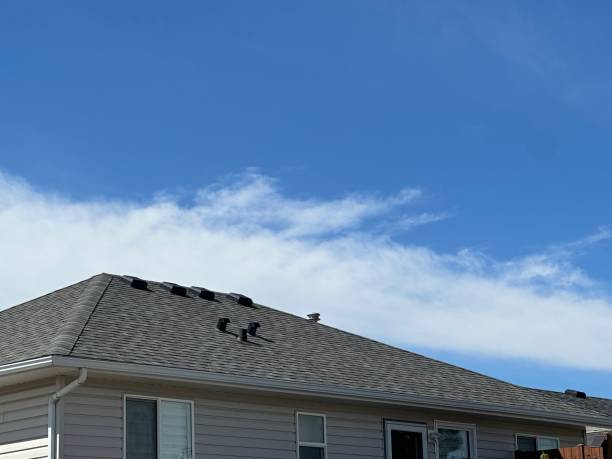 Best Gutter Installation and Repair  in Flora, MS